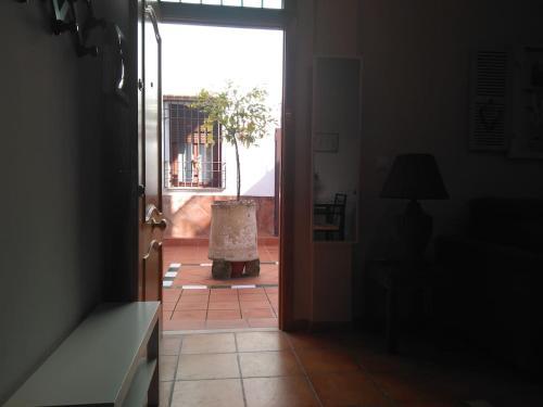 Apartamento Patio de San Lorenzo Vft/co/00990