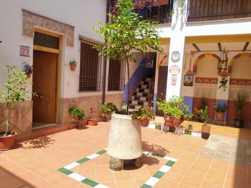 Apartamento Patio de San Lorenzo Vft/co/00990