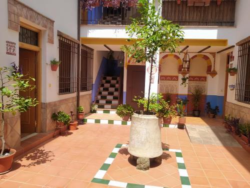 Apartamento Patio de San Lorenzo Vft/co/00990
