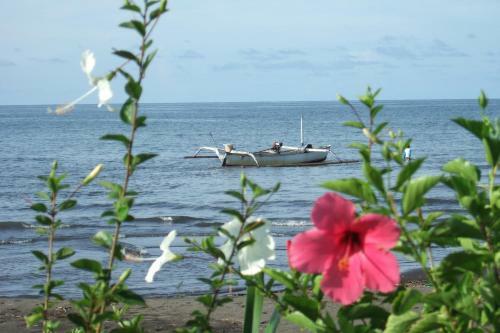 Villa Banjar Beach