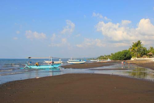 Beachfront Villa Jasmine Lovina