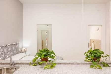 Apartamento Canadian 2