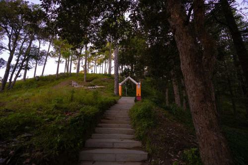 The Hosteller Kasar Devi