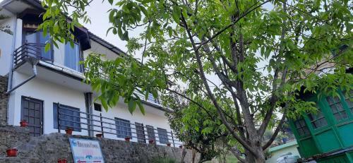 Mkhomestay