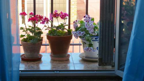 Apartamento Patios de San Pedro