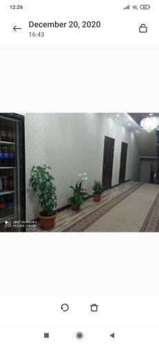 Hostal Guest House "chyngyz"