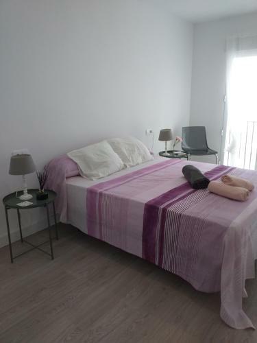 Pink Lemon Apartments