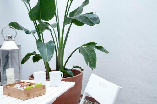 Apartamento Entrenaranjos