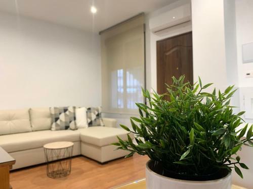 Apartamento La Mezquita-catedral