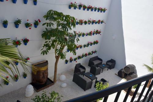 Apartamentos Casa-patio Las Palmeras