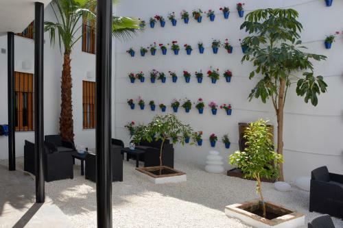 Apartamentos Casa-patio Las Palmeras