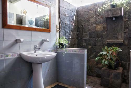 Hostal Pasteur Beautiful Luxury Home