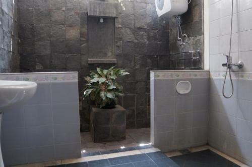 Hostal Pasteur Beautiful Luxury Home