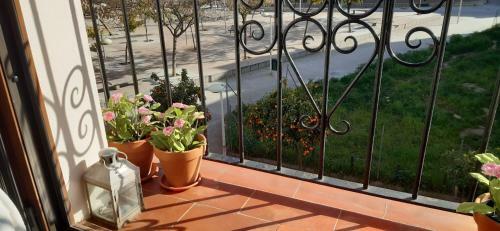 Apartamento Golondrina