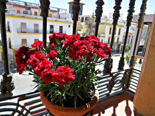 Apartamento Via Alfaros