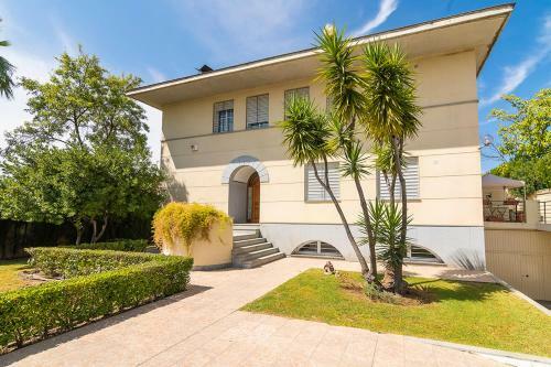 La Casa Del Olivo En C�rdoba