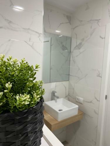 Apartamento Atico Casa Lola