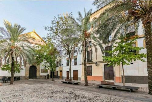 Precioso Apartamento En Plaza de Las Ca�as