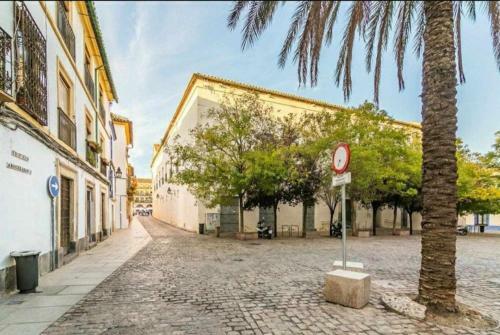 Precioso Apartamento En Plaza de Las Ca�as
