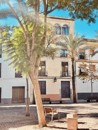 Precioso Apartamento En Plaza de Las Ca�as