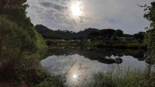El Pinar Del Coto