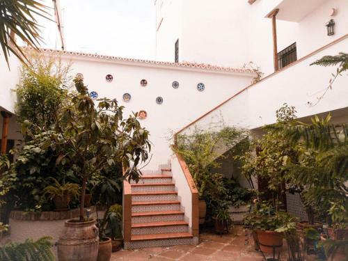Apartamentos Ruz