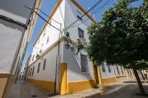 Apartamentos Tinte 8