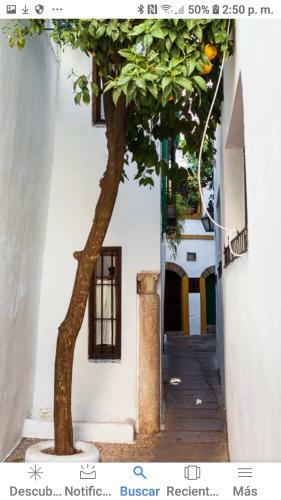 Apartamento Perez De Castro
