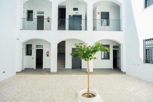 Em21 Apartamentos