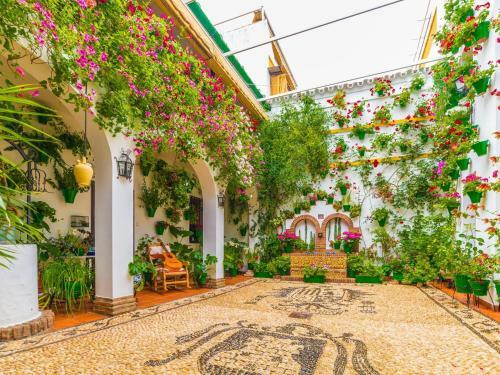 Apartamento Eduardo Lucena 5, Casco Hist�rico