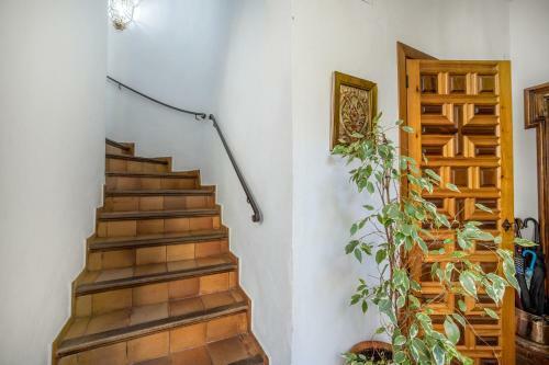 Apartamento Con Patio Cordob�s En San Basilio