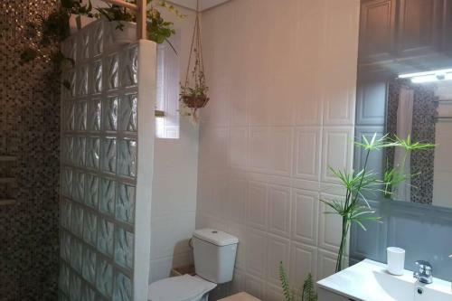 Bonito Y Coqueto Apartamento