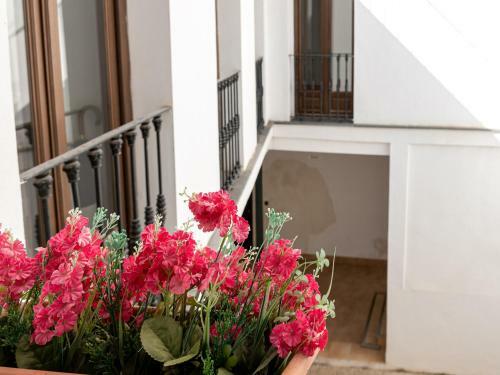 Apartamento Estudio San Pedro-corredera