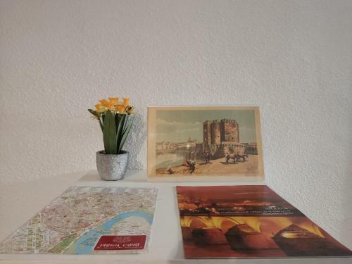Apartamento Tu �tico Lindo
