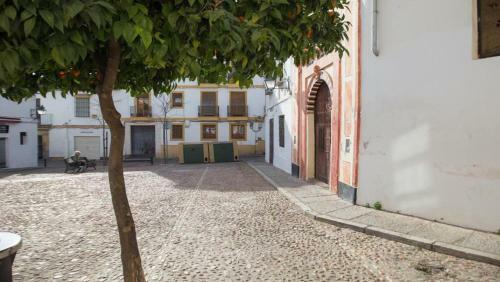 Apartamento Ilusi�n Andaluza