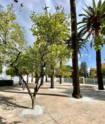 Apartamento Nuevo! Los Almendros 302 Complejo Tur�stico