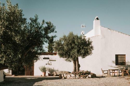 Finca El Pocico