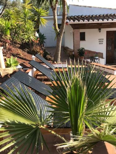 B&B Cortijo Loma Le�n