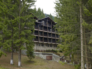 Bradul Hotel