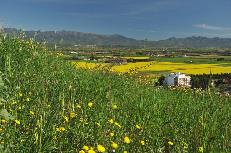Hotel Empord�
