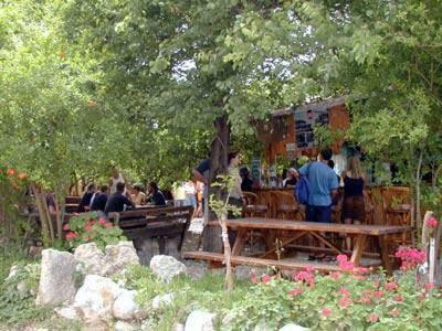 Bayrams Tree Houses