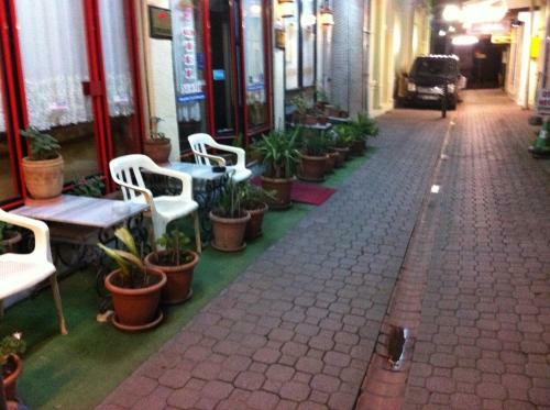 Hostal Hotel Necmi