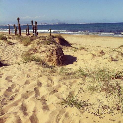 Alojamiento El Altet Playa