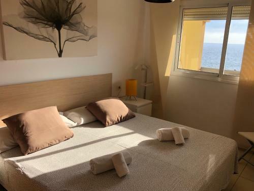 Panoramic View Apartment