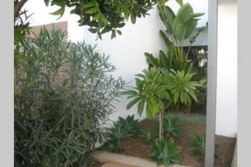 Casa Esparto
