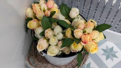 Hostal Blau Caf� I Habitacions