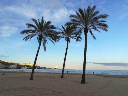 Apartamento En Florazar 2