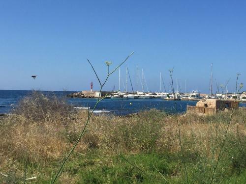 Villa Son Reynes Pool & Sea