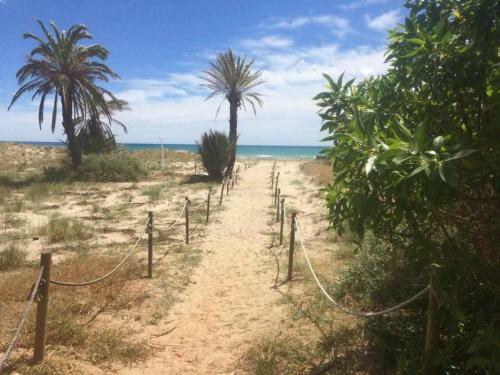 Apartamento �tico Las Minvas 1� Linea de Playa