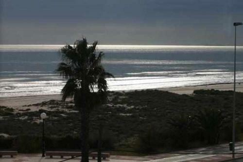 Apartamento �tico Las Minvas 1� Linea de Playa